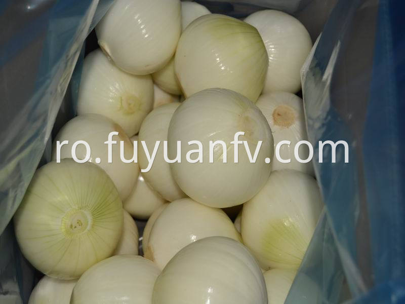 peeled onion 